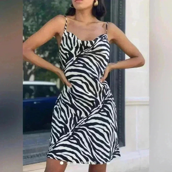 Urban Outfitters Zebra Print Mini Dress - Picture 1 of 9